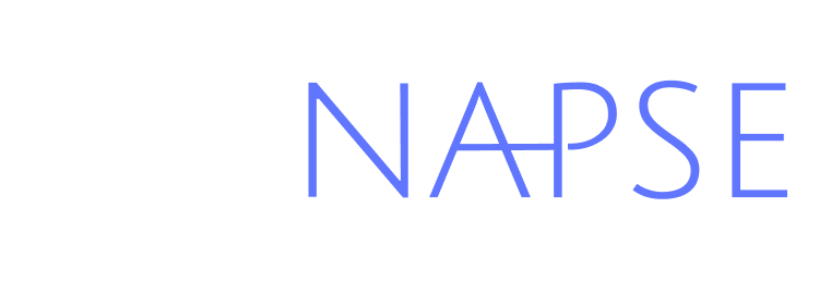 SCINAPSE